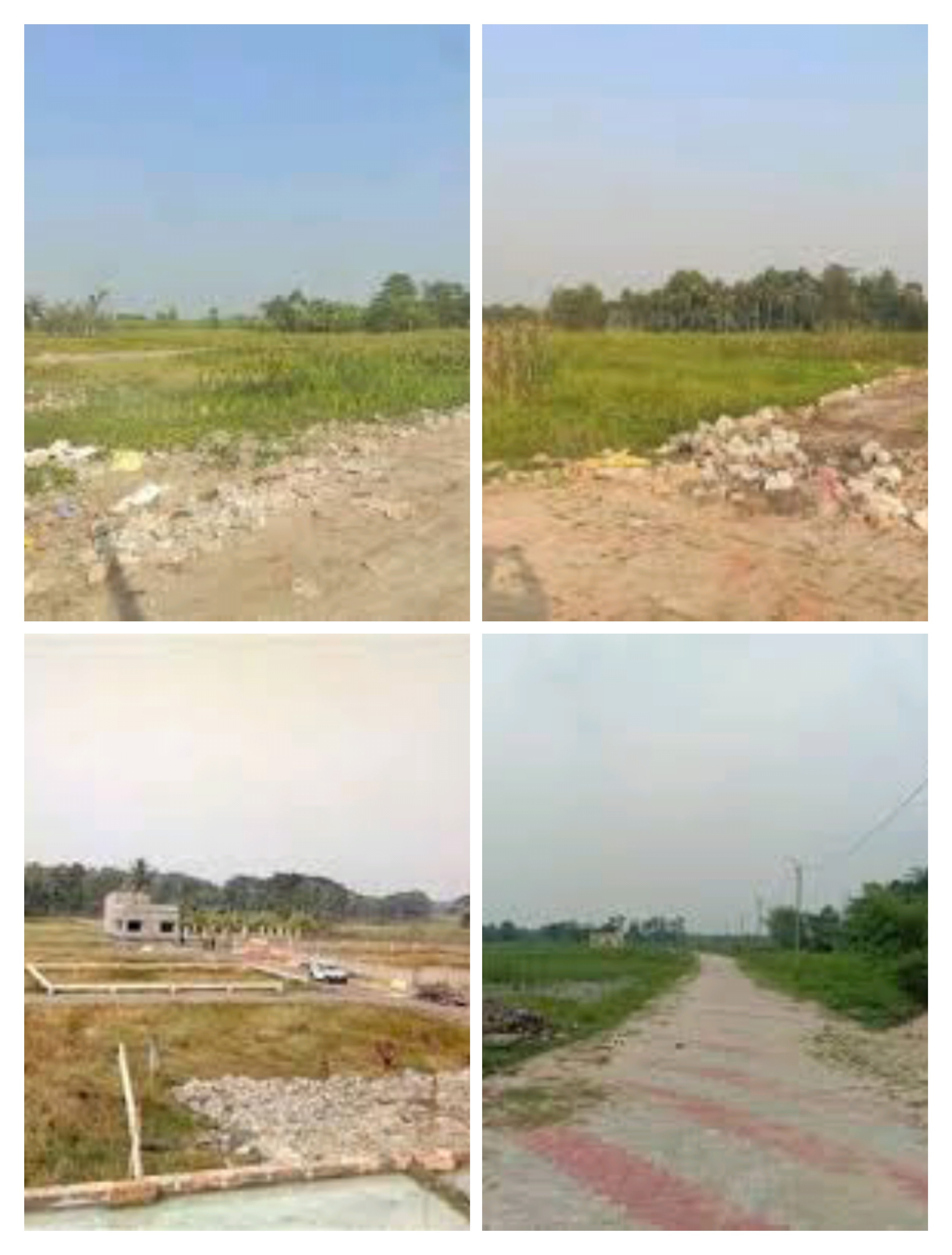 Quintessa - Rare for the Rare Quintessa - Rare for the Rare